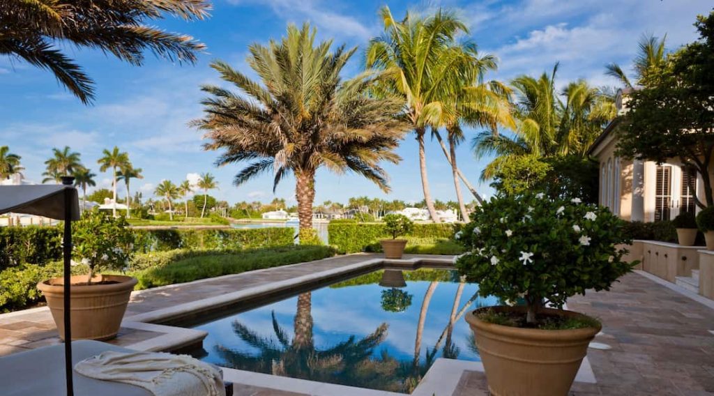 Backyard Pool With Palm Trees